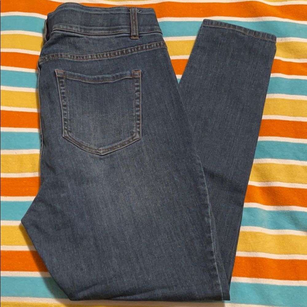 Venezia (Lane Bryant) Med Wash Skinny Jeans (14)